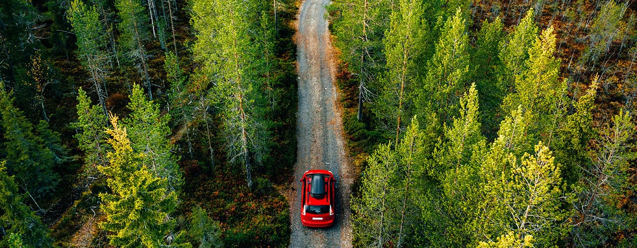 AlterWEgo s'engage à limiter l'impact de ses véhicules sur l'environnement en plantant plus de 2000 arbres en France en 2022